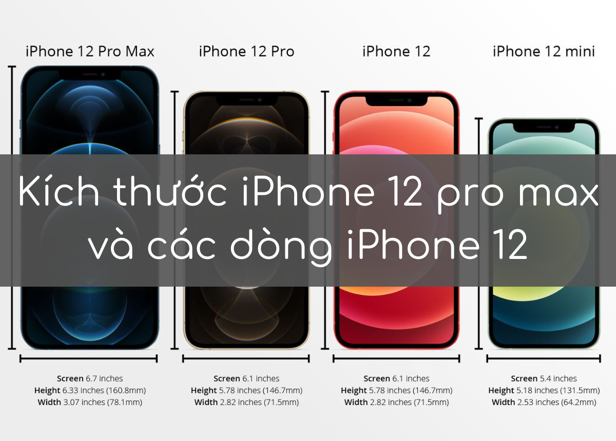 Kích thước iPhone 12 pro max và các dòng iPhone 12