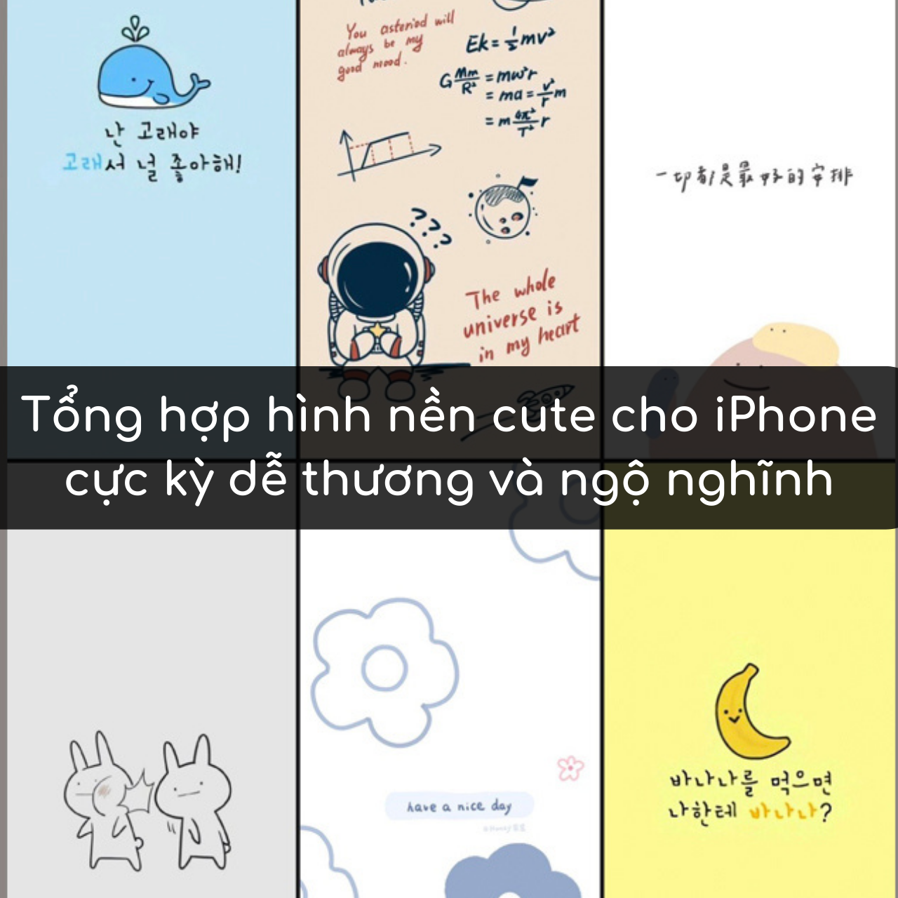 Tải ngay bộ hình nền che tai thỏ trên iPhone – Happy Phone  (didonghanhphuc.vn)